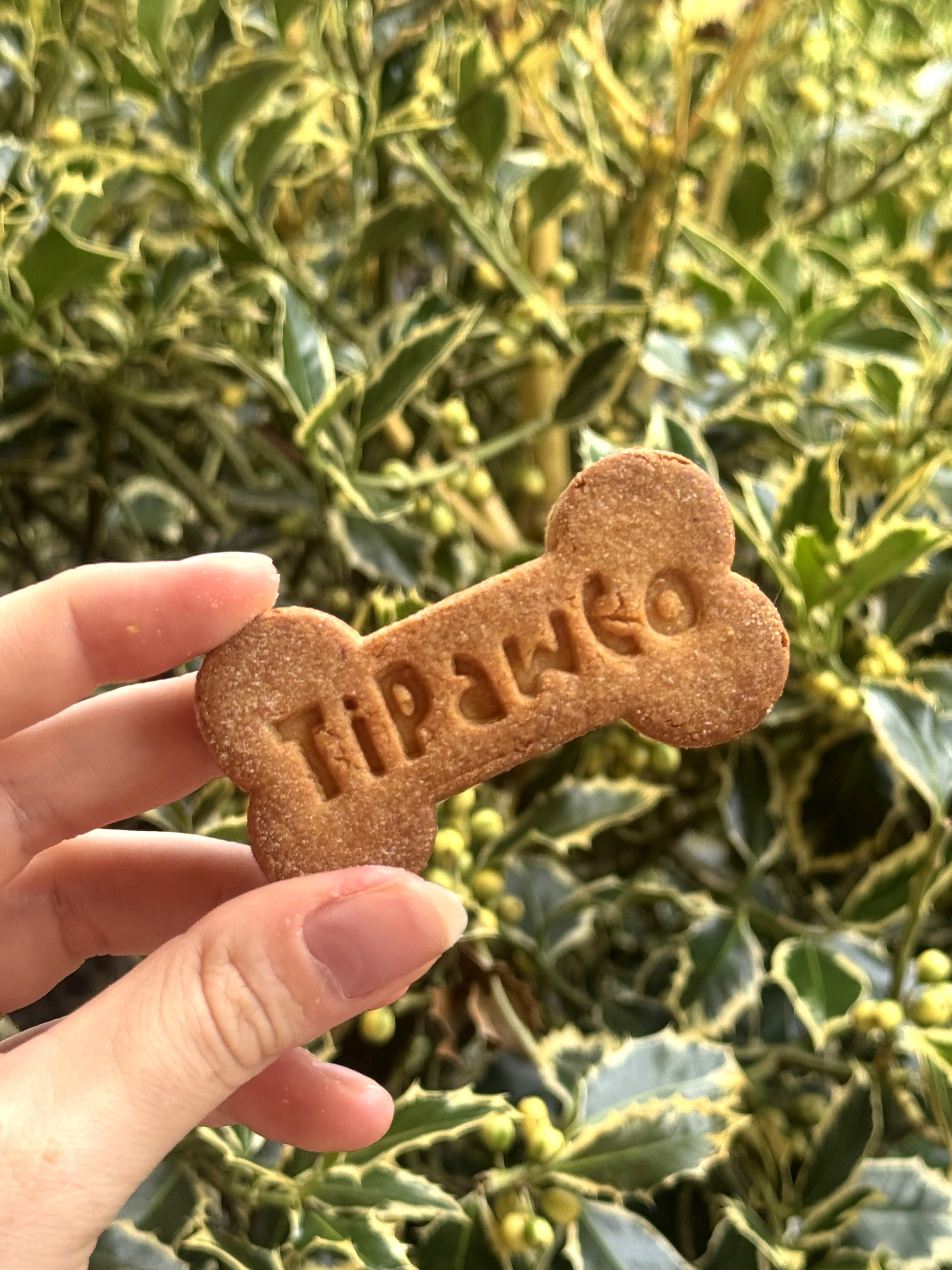 Biscuits No's No's