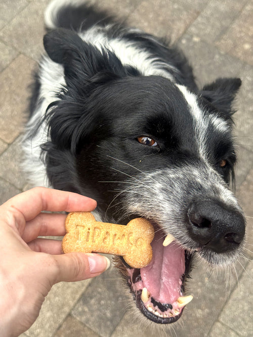 Biscuits No's No's